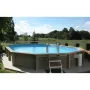 Piscine Naturalis Ovale 787x472 cm