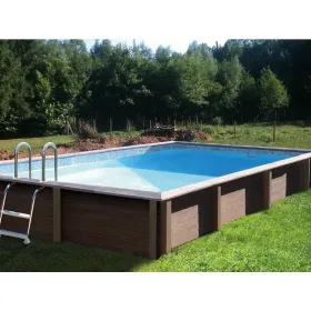 Piscine Naturalis Rectangulaire 467x324 cm