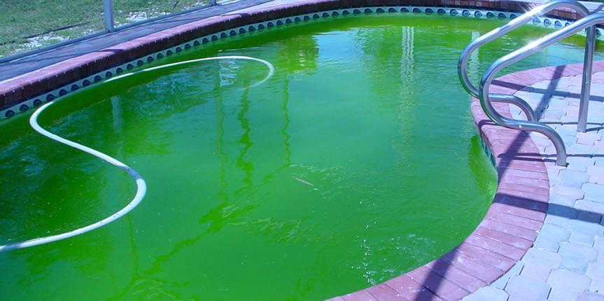 Pourquoi l'eau de la piscine est-elle verte ?
